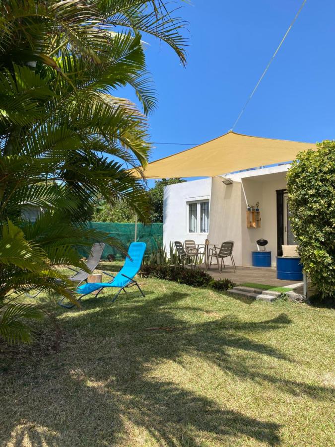 Ecozy studio - B&B