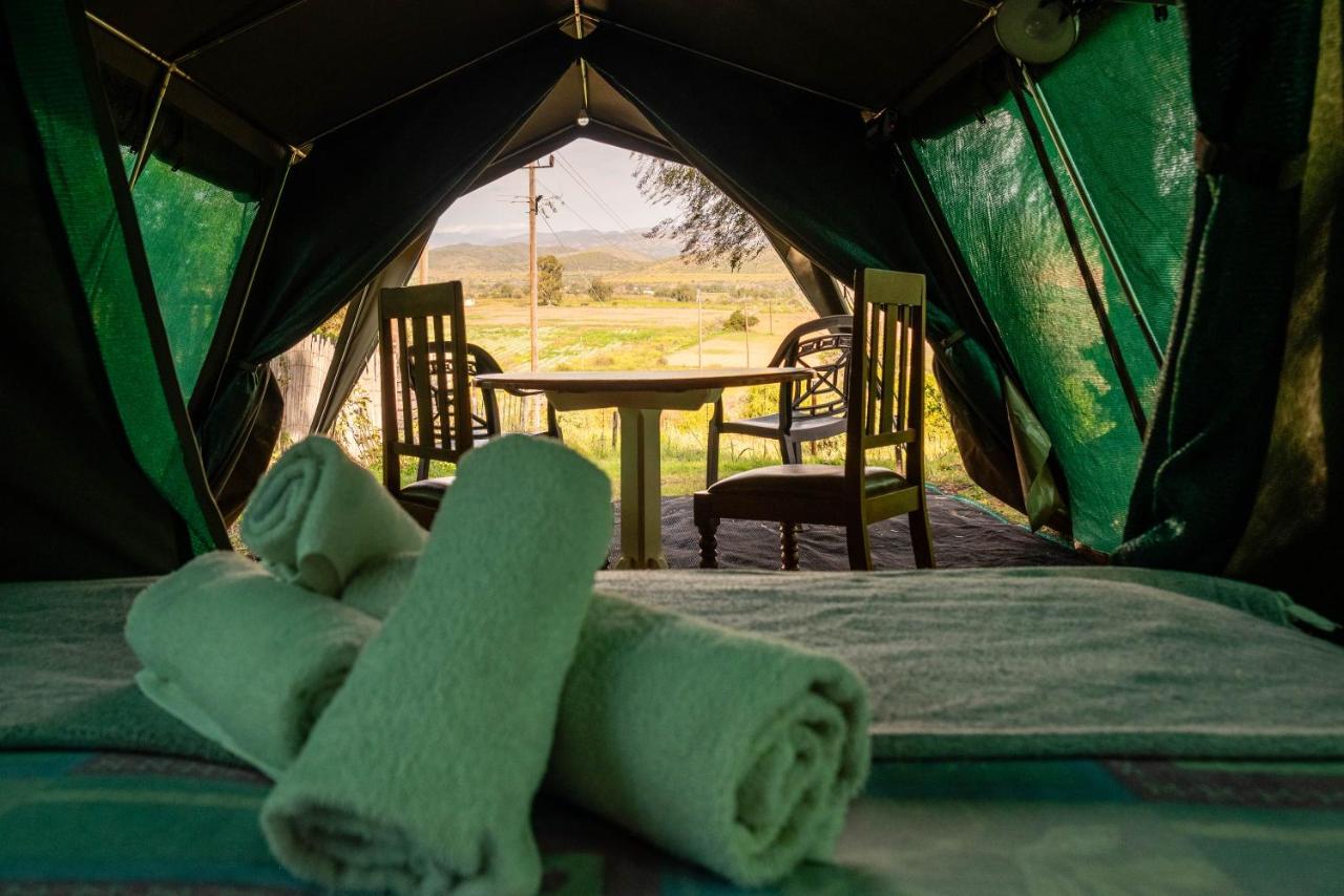 Tent