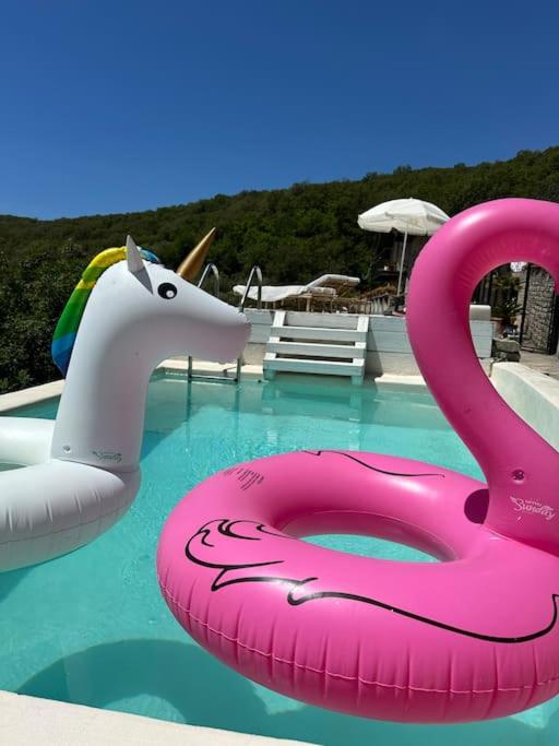 Beautiful Ligurian house with pool - B&B Flavon