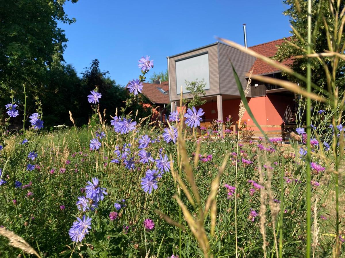 Ferienloft Libela Straupitz im Spreewald - B&B