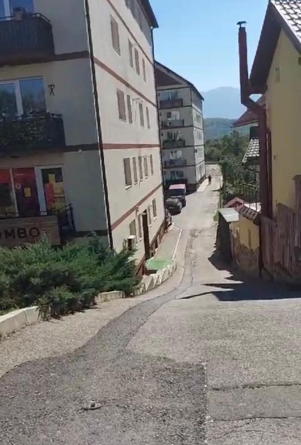 Alinaalis - B&B Zărneşti