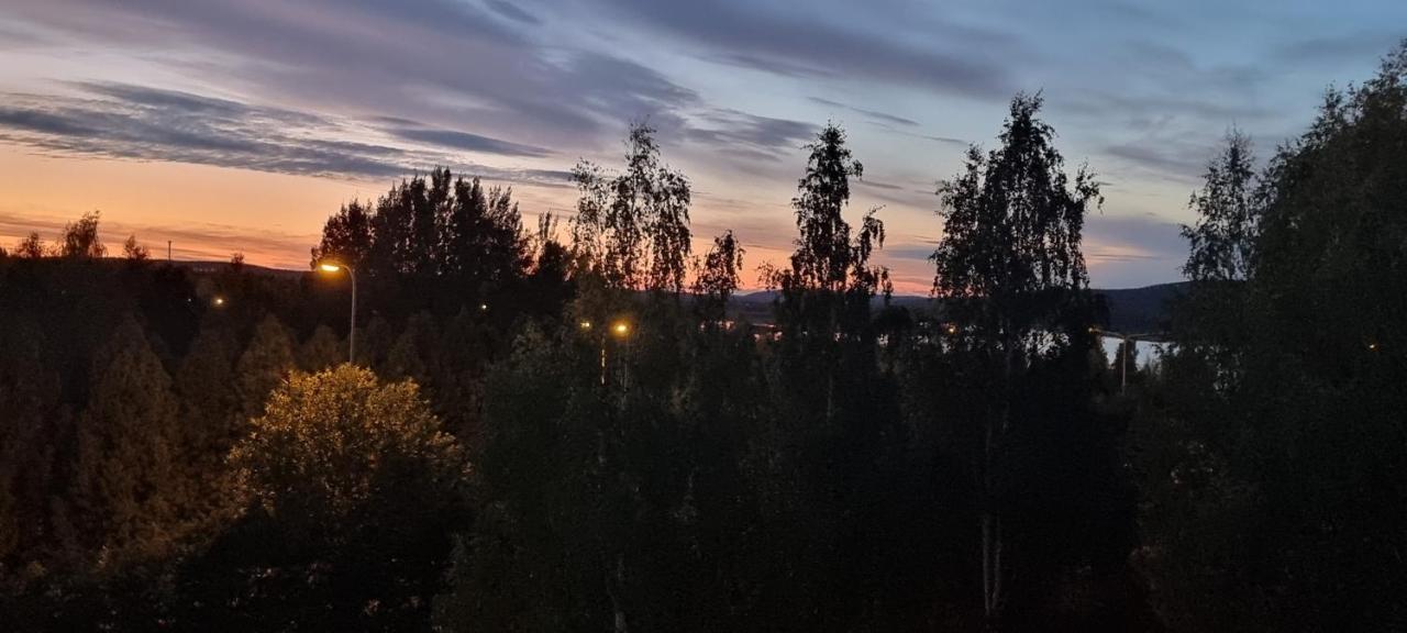 City Apartment Pirkka - B&B