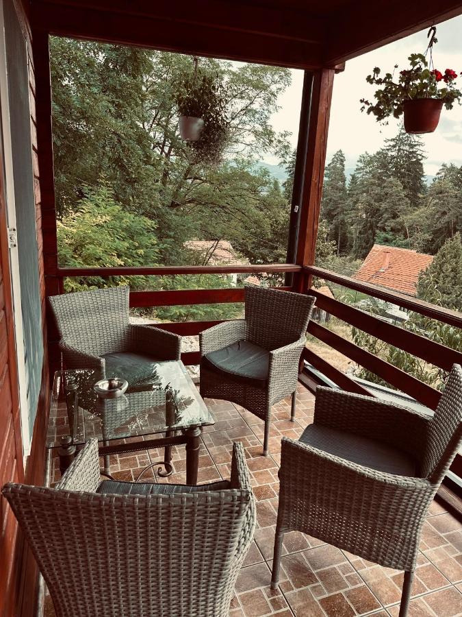 Cabana Scruba - B&B Topliţa