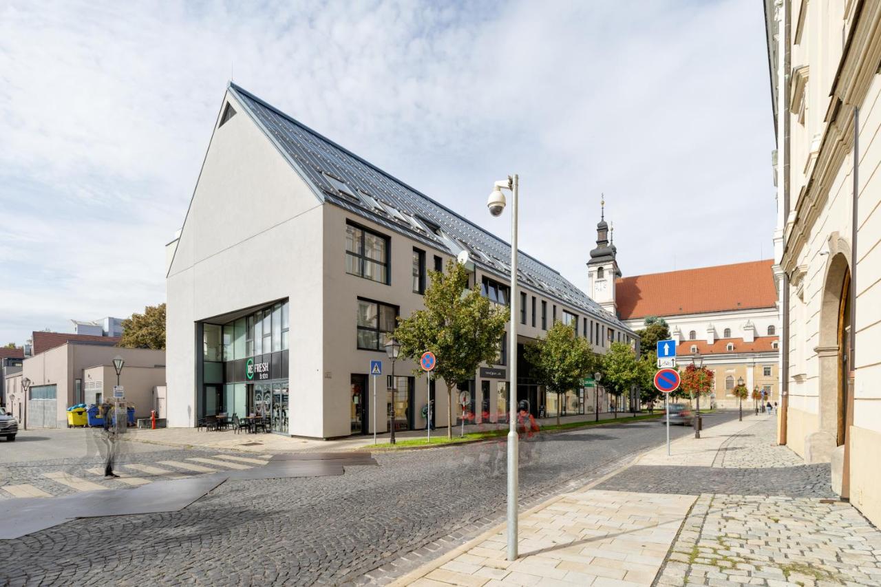 Apartmán Leonardo - city center - B&B