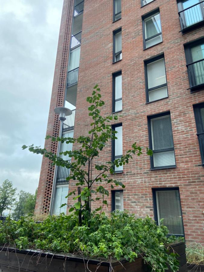 Polar Suite - B&B Rovaniemi