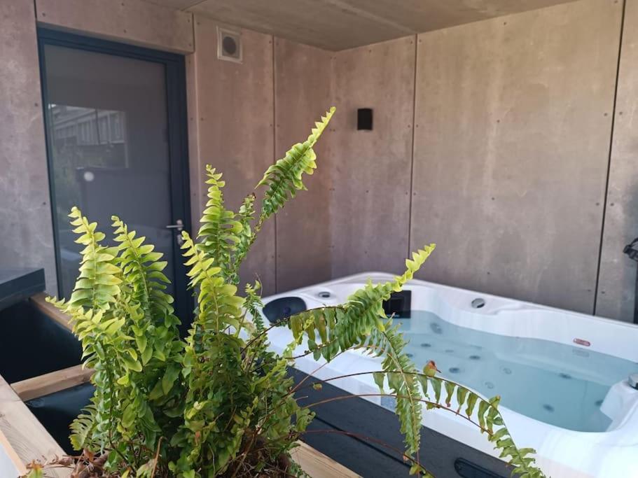O Petit Jardin studio Cholet - B&B