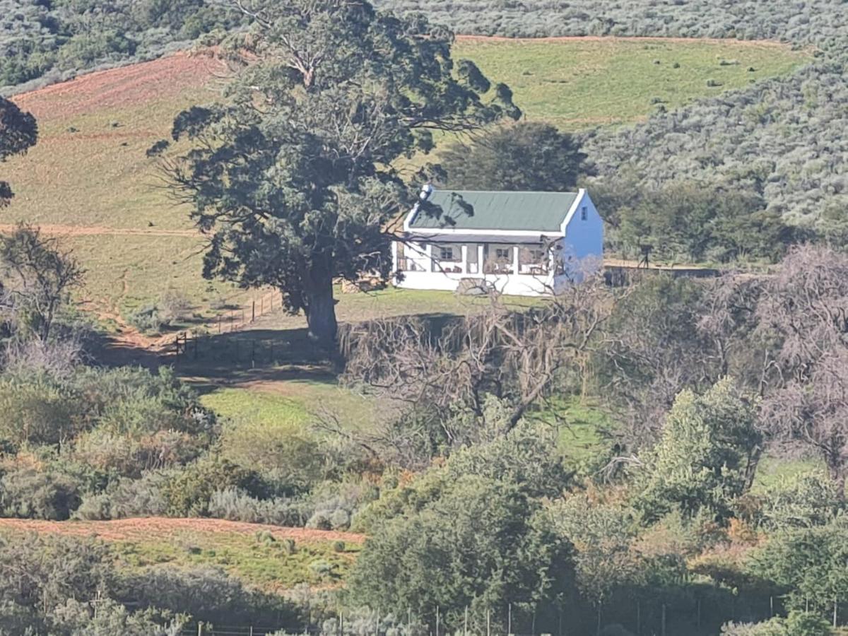 Landsrivier Cottage No 1 - B&B