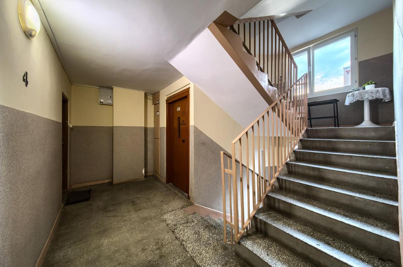 Szczepin Spacious Apartment - Bed and Breakfast