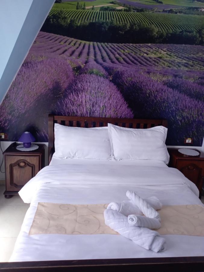 Pensiunea Lina - B&B Lepșa