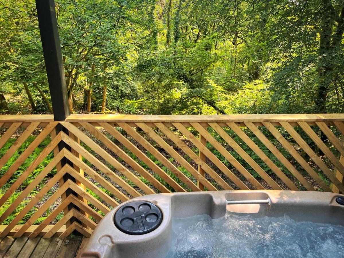 Goldcrest 3-Hot Tub-Woodland Lodges-Carmarthenshire-Tenby - B&B Carmarthen