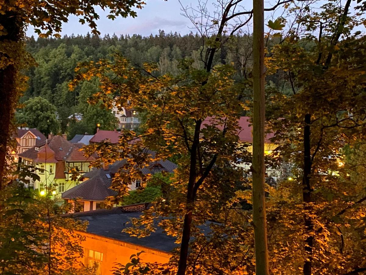 Polanica Luxury Apartment - Bliżej Zdroju - B&B Polanica-Zdrój