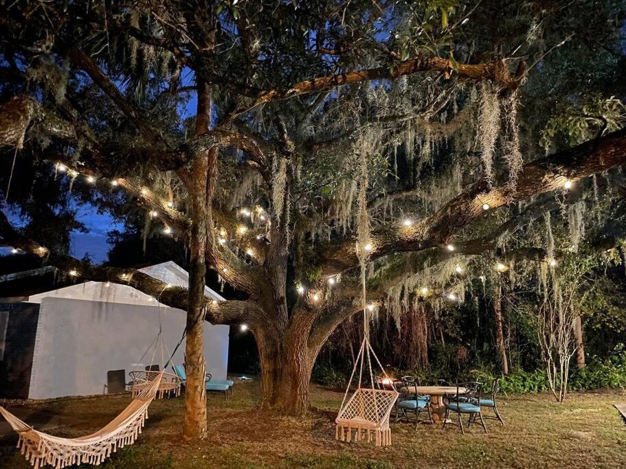 Nature Coast Getaway #2 - Comfy 2 Bedroom - B&B