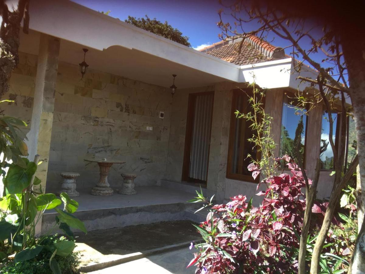 Standard Bungalow