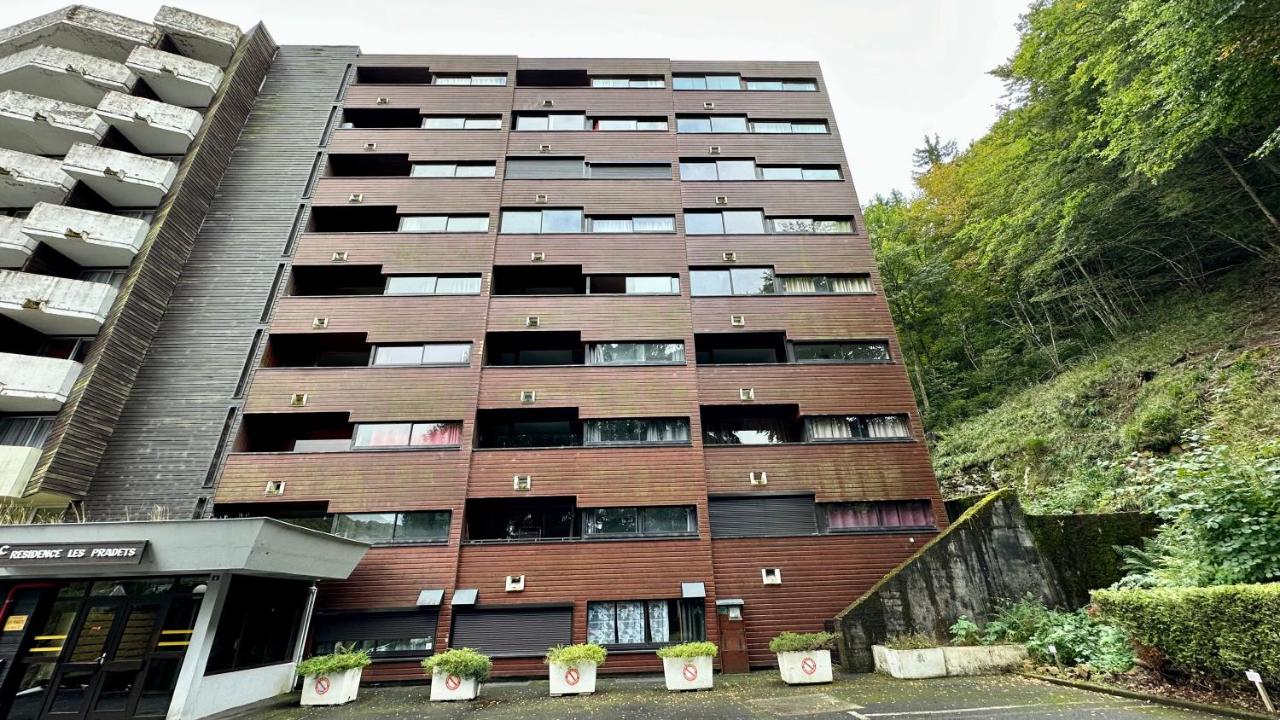 Bel appart Pradet C 513, 300m centre ville, vue sur le sancy - B&B
