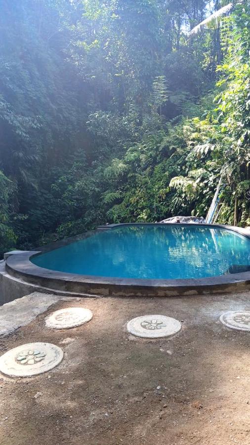 Villa Batari - Artsy Joglo - Private Swimming Pool - B&B Tegalalang