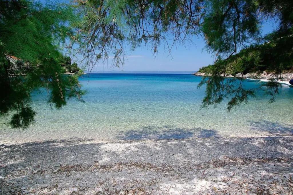 Holiday house Ivko - Korcula - B&B Vela Luka