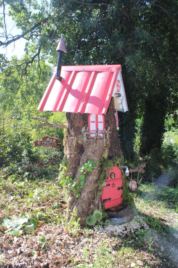 B&B Il Cantico - B&B Greccio