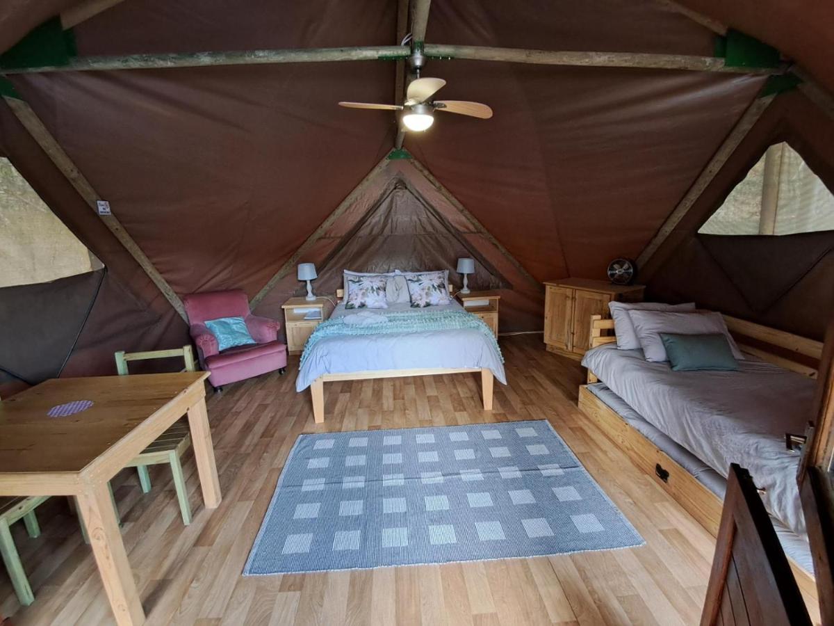 Comfort Tent