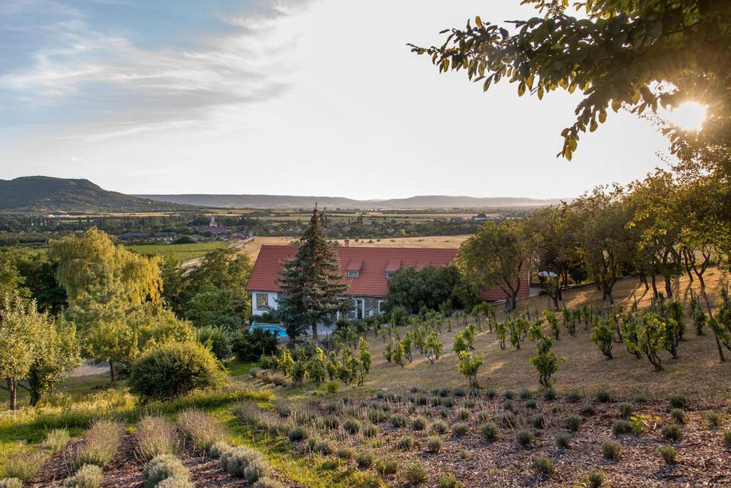 Kövirigó Családi Birtok - B&B