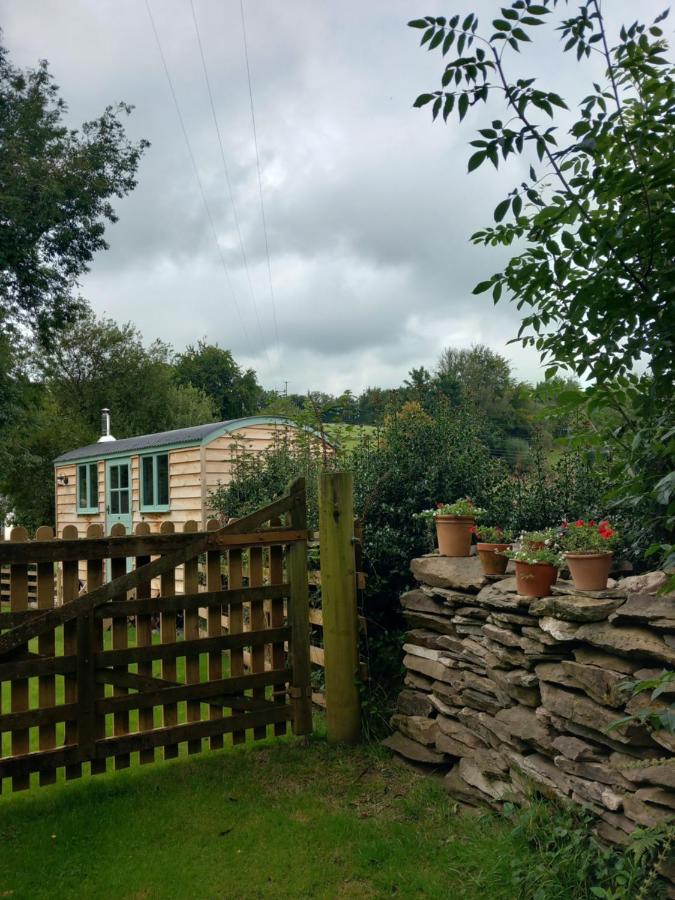 Foxgloves - Bed and Breakfast