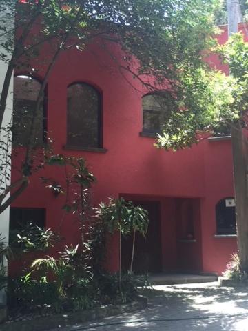 Casa entre árboles - B&B Momoxpan