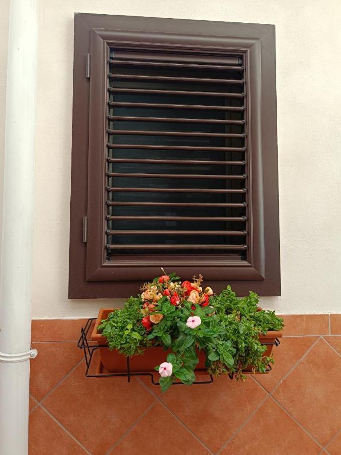 Oracolo Di Delfi - B&B Taranto