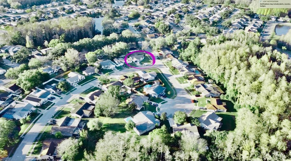 Villa IMPRESSA -Close to Beaches, Billiard,Ping-Pong Table, Lanai, Fire Pit, BBQ, Patio, Back Yard - Ferienwohnung New Port Richey