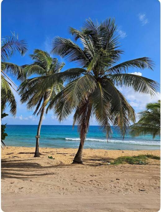 Close to Embassy Hotel, beach, restaurants and nightlife - Bed and Breakfast Higuillar