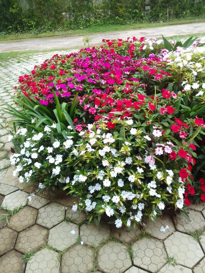 Verde Mauá Chales - B&B Visconde de Mauá