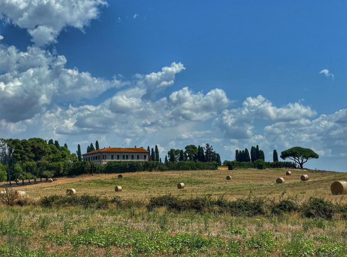 Fattoria Barca Colonna - B&B