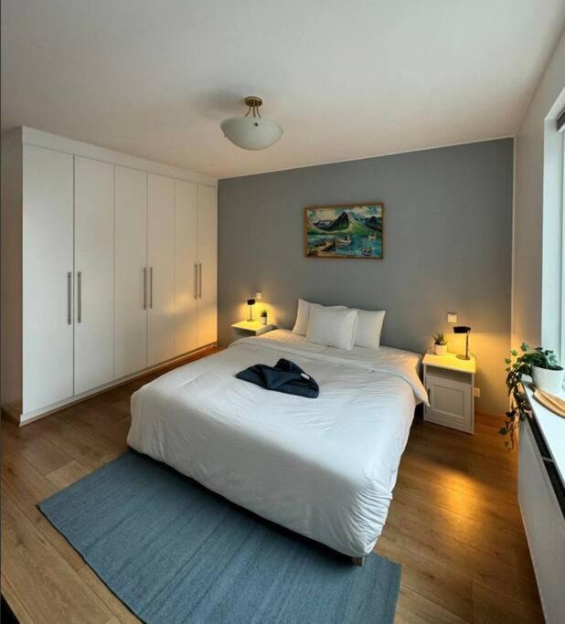Comfort and Elegance in Downtown, Reykjavik - B&B