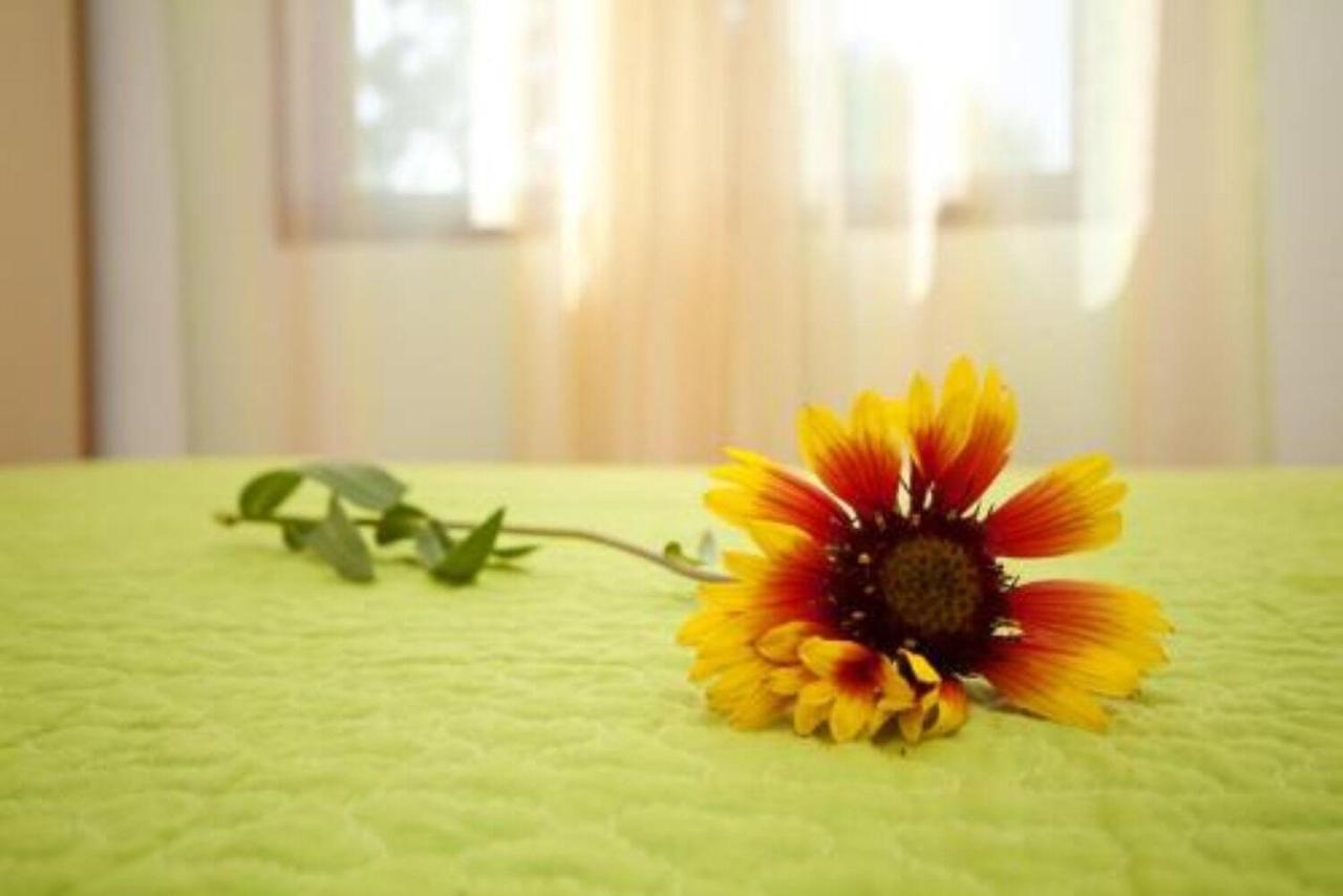 Appartamento Standard con 1 Camera da Letto