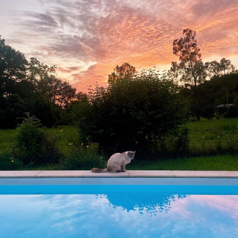 La Maison aux pieds des Pyrénées - Piscine d'exception de 25m - Ferienwohnung