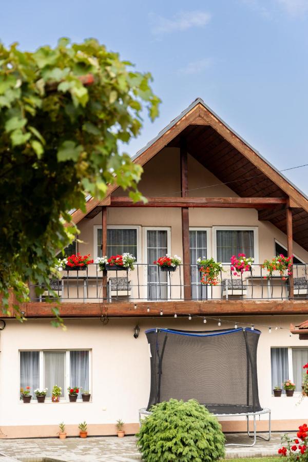 Casa de Vacanta Diana Turnu Rosu - B&B Turnu Roşu