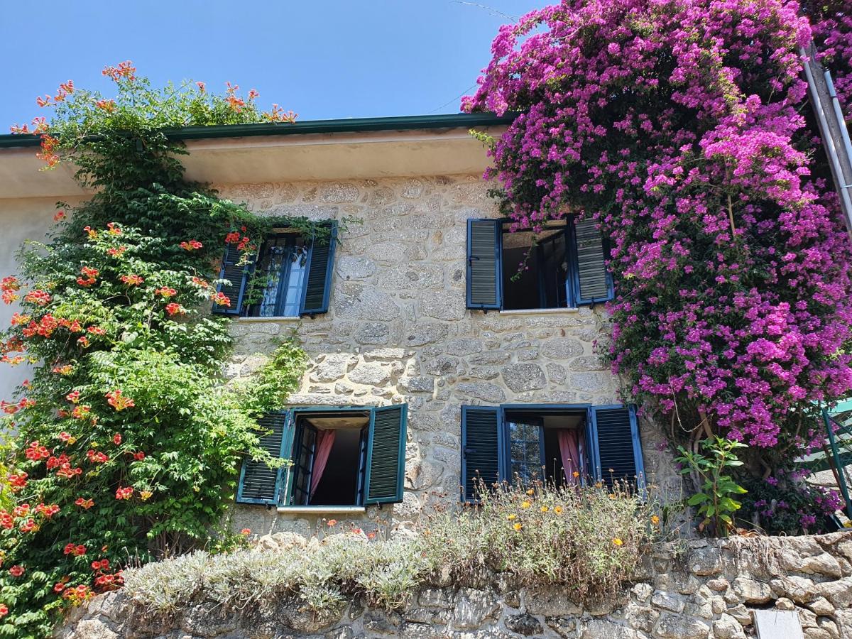 Casa Rústica - B&B