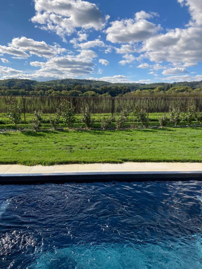 La Plaine aux Etoiles - Maison Individuelle avec Piscine Balnéo Privative et Jardin - B&B