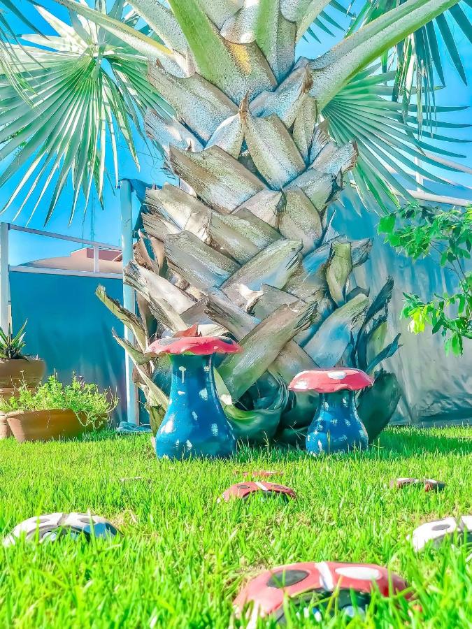 Apê Bela Vista com Piscina I Wi-Fi e A/C - B&B Imperatriz