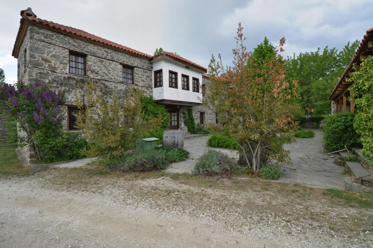 MILOS Guesthouse - Prespa - B&B Mileón