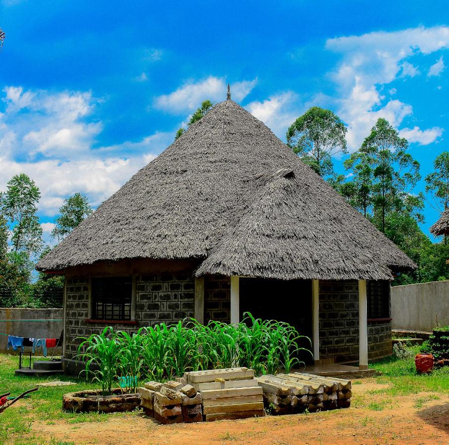Tropical lodge - B&B
