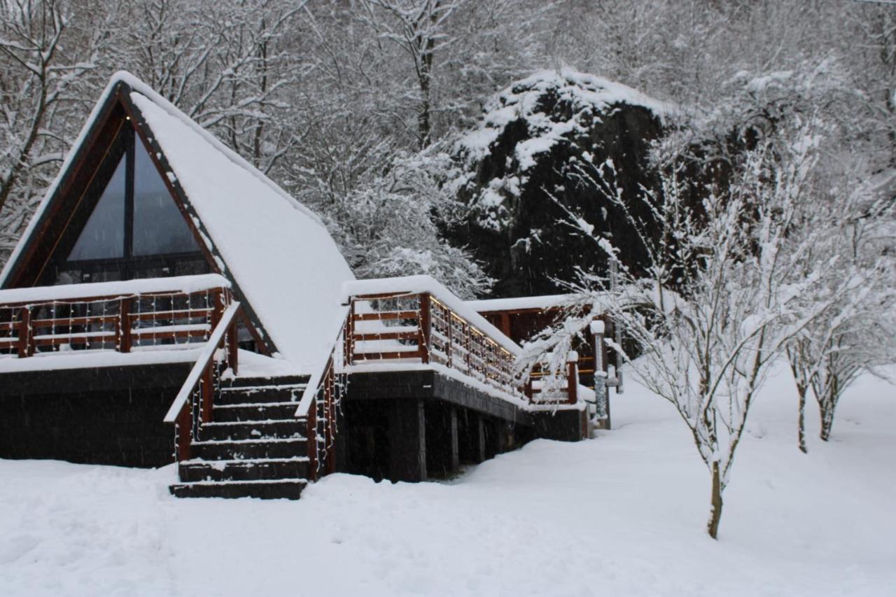 Valea Mosului - Cozy A Frame - B&B Petroşani