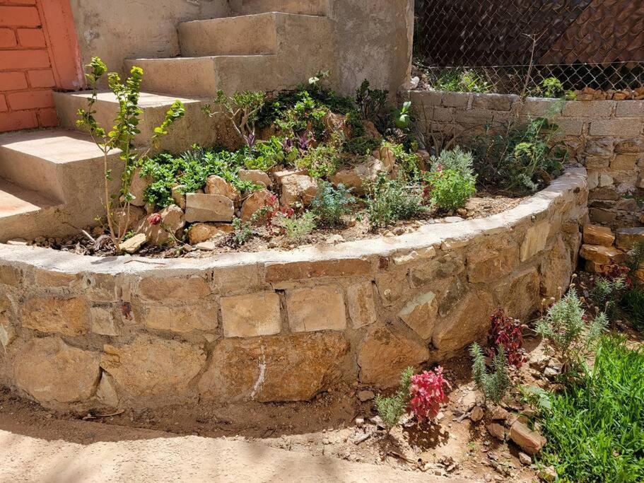 Departamento Miguel Angel - Chambres d’hôtes Oaxaca