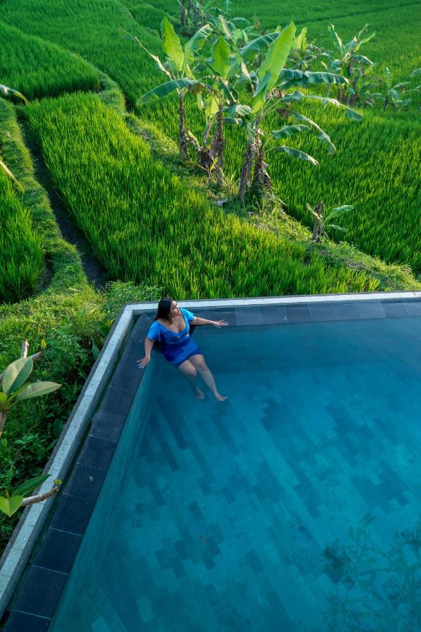 Umah Adenium Ubud - B&B