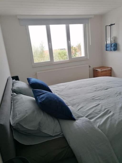 L'abri en orange - B&B Sint-Niklaas