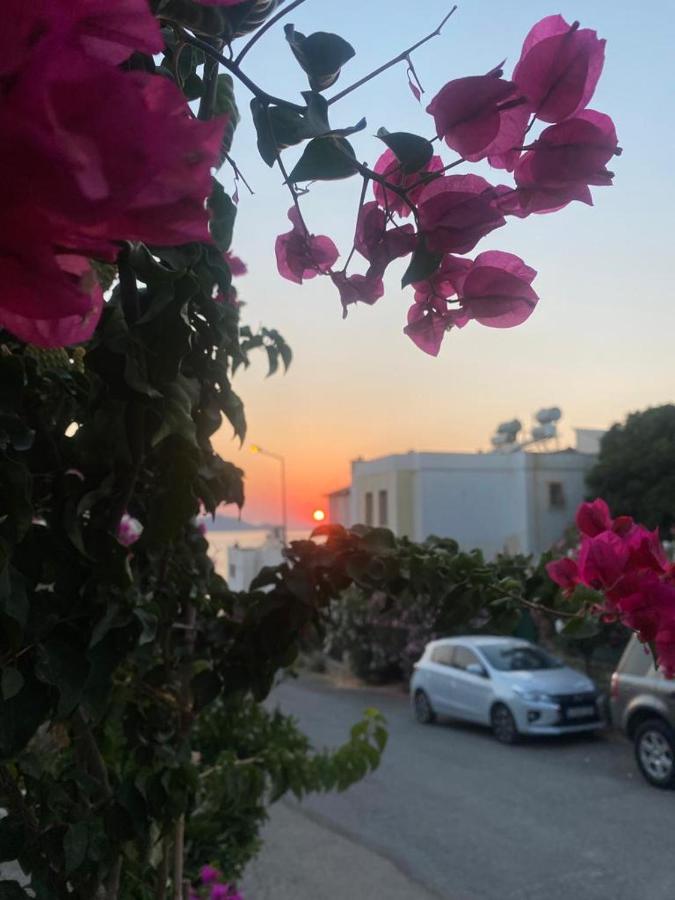 Hancı evleri - B&B