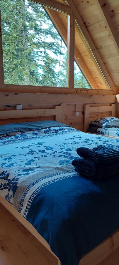 Maison 1 Chambre