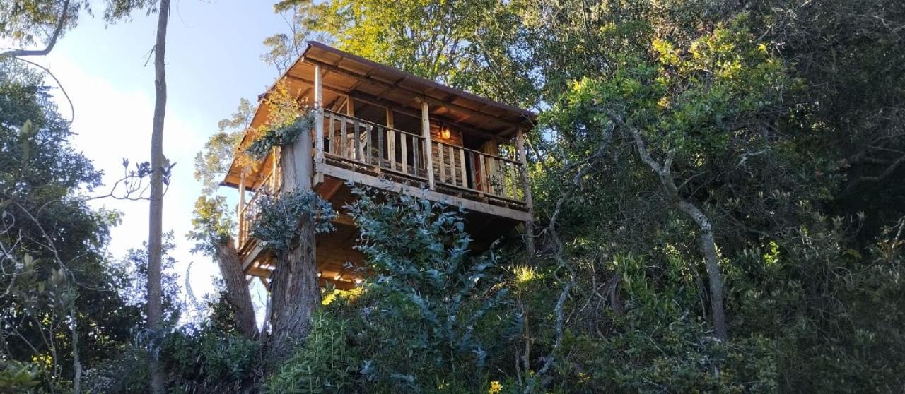 Casiopea Glamping - Ferienwohnung