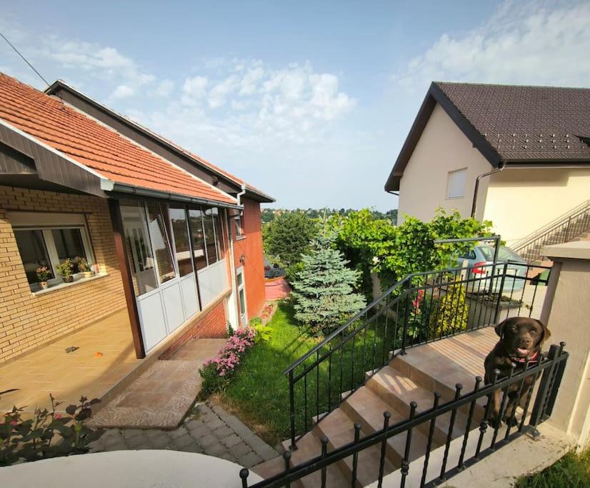 A family house at the outskirts of Fruska Gora, Novi Sad! - Bed and Breakfast