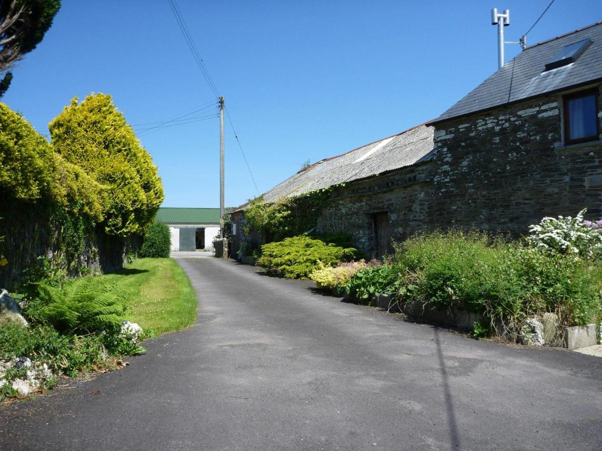 Y Cartws Cardigan - Bed and Breakfast Cardigan