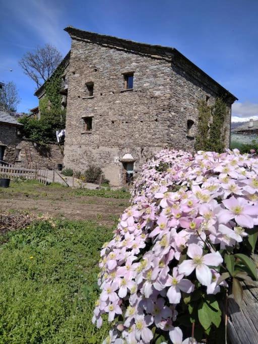 Il gufo - B&B Aymavilles
