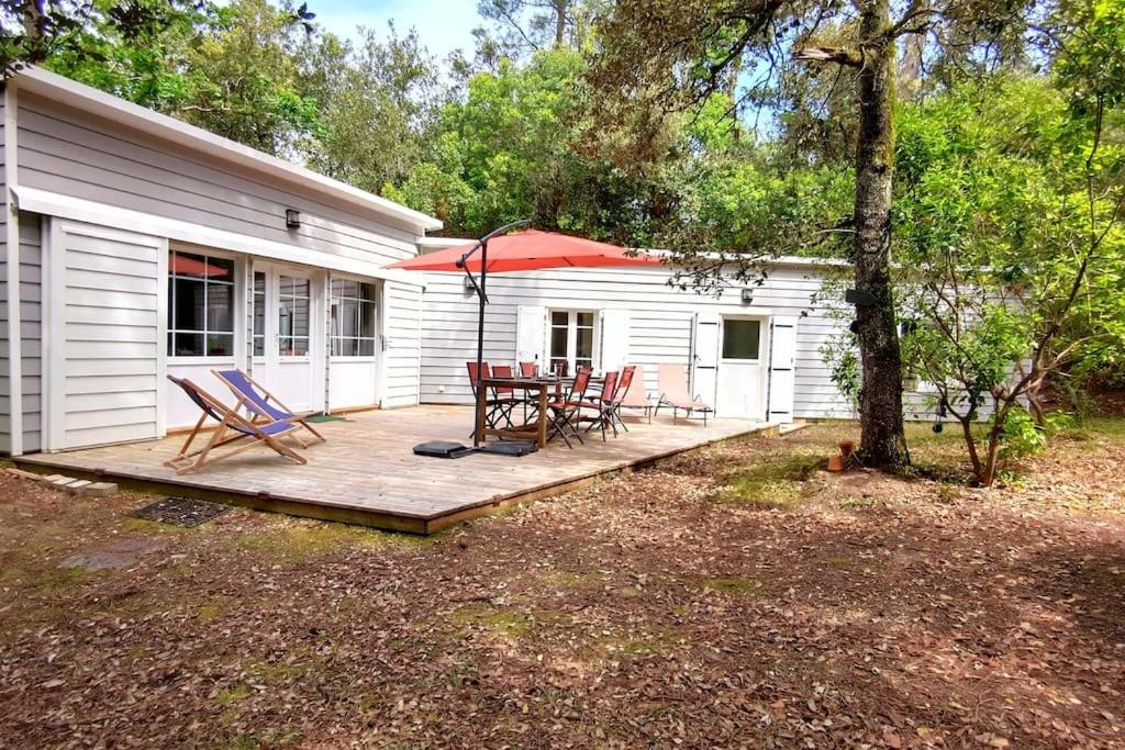 Au Pied de la Dune, accès privé à la plage - B&B